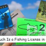 How Much Is a Fishing License in Ohio