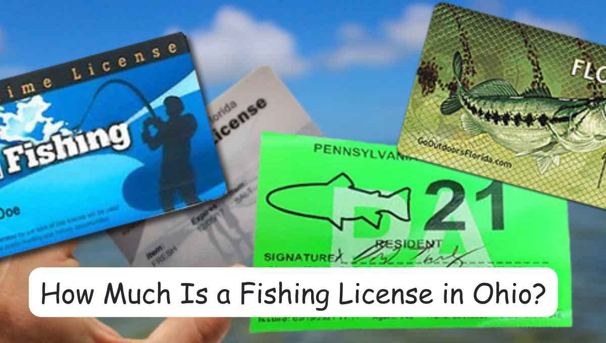 How Much Is a Fishing License in Ohio